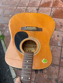 Chitarra classica elettrificata squirrel