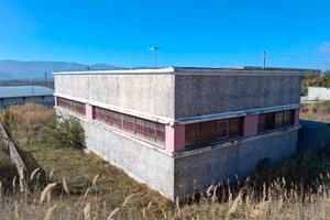 Capannone artigianale