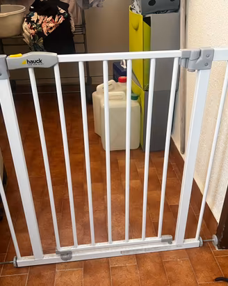 Cancelletto  bambini  / animali