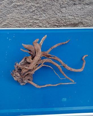 legno per acquario 