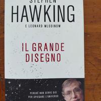 Stephen Hawking Il Grande Disegno Libro