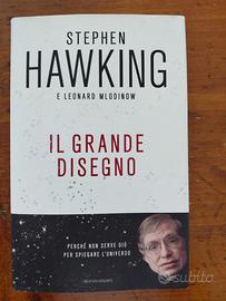 Stephen Hawking Il Grande Disegno Libro