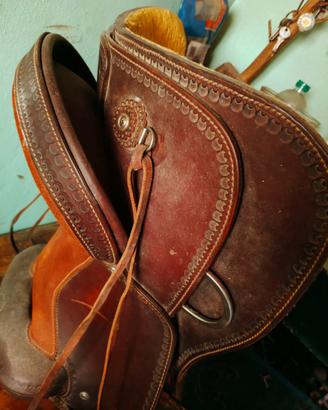 sella bred ren’s pari al nuovo