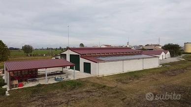 Terreno di 60000 m² a Crema