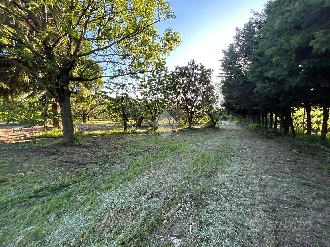 TER. AGRICOLO A BOLOGNA - Vista 5