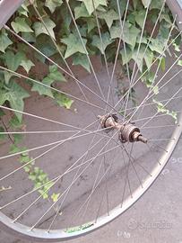 cerchio posteriore da 26