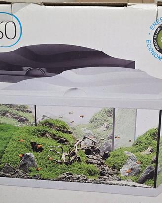 Acquario 60 litri