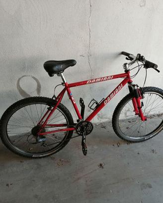 BICICLETTA UOMO