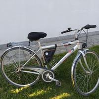 Bici da uomo con cambio
