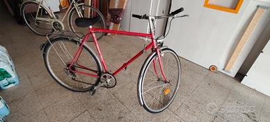 Bici Sport Tedesca