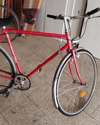 Bici Sport Tedesca