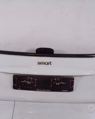 Baule bauletto posteriore Smart 451 2009