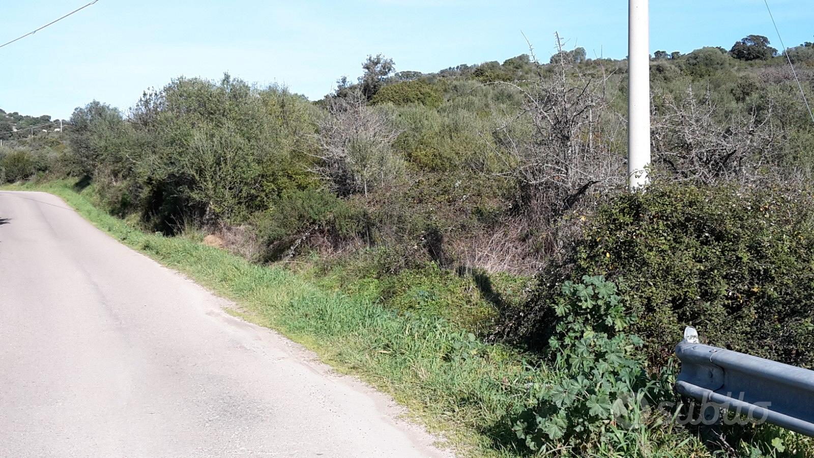 Terreno agricolo - Vista 4