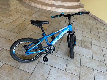 Bicicletta 20 bambino