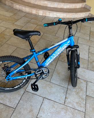 Bicicletta 20 bambino