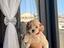 Immagine 3