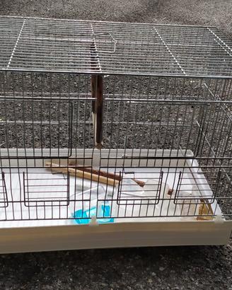 gabbia da cova per pappagallini 