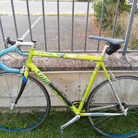Triestina wilier