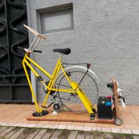 BICI GENERATORE ENERGIA (ALTERNATIVA)