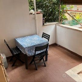 Pineta sacchetti bilocale con terrazzo