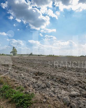 Terreno Agricolo Este [Cod. rif 3253346VCG]