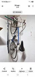 Bicicletta Francesco Moser Leader