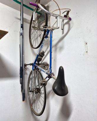 Bicicletta Francesco Moser Leader