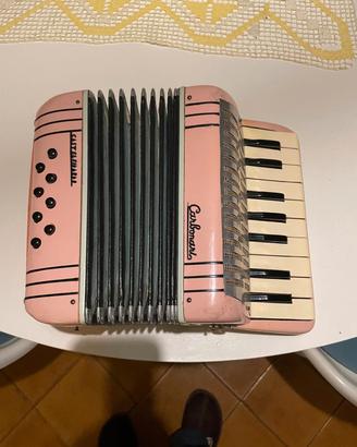 fisarmonica 