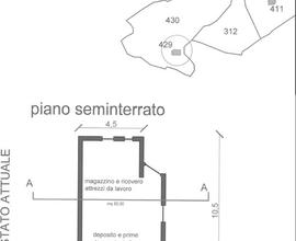 Oliveto soleggiato e panoramico con casa rurale