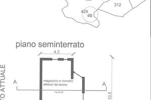 Oliveto soleggiato e panoramico con casa rurale