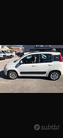 FIAT PANDA 1.2 IMPIANTO GPL DI SERIE "neopatentati