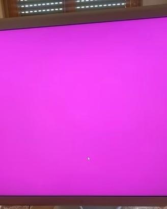 Apple cinema display 30'' pollici  Con adattatore 