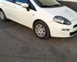 Fiat Punto 1.3 MJT II 75 CV 5 porte Lounge neopate