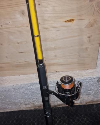 Canna da pesca Daiwa