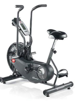 Air Bike Schwinn  AD 6 Professionale