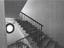 Immagine 10