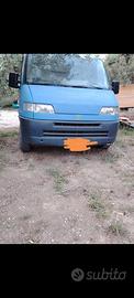 Ducato TD19