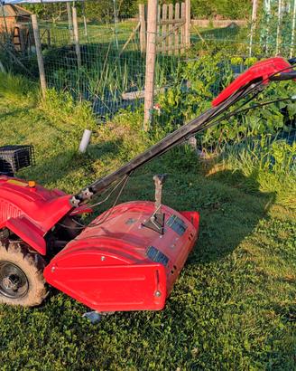 Motozappa Motocoltivatore PROGREEN PGCT500