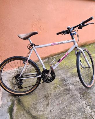 Bici mountain bike