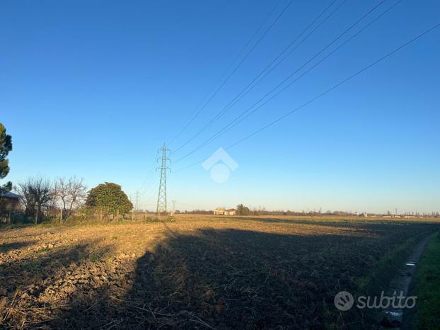 TER. AGRICOLO A FERRARA