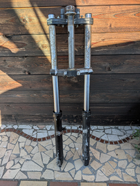 Malaguti Fifty Top Color HF Forcelle