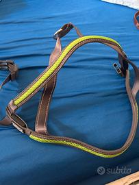 Pettorina e guinzaglio fluorescenti cani taglia m