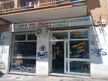 NEGOZIO A ROMA