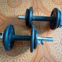 Manubri palestra e pesi