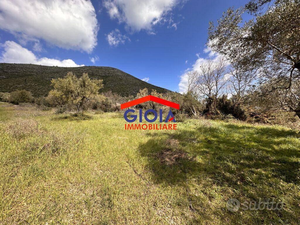 Terreno di 8430 m² a Mondragone - Vista 5