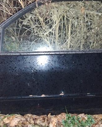 Sportello Volkswagen Lupo 