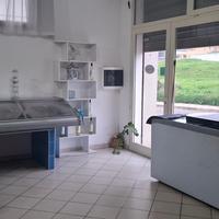 banchi frigo e frigo bibite