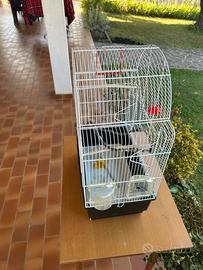 Gabbia per cocorite e piccoli uccelli