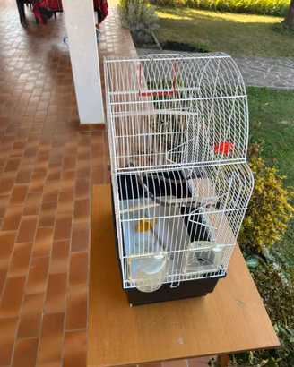 Gabbia per cocorite e piccoli uccelli