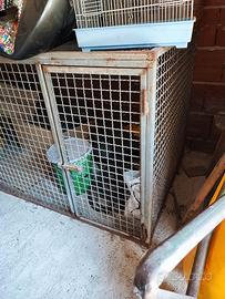 Maxi Box / Gabbia in ferro pesante per animali